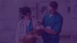 Yurtdışında veterinerlik yüksek lisans eğitimi için klinik ortamda köpek üzerinde çalışan veteriner hekimler
