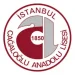 anasaliselog13